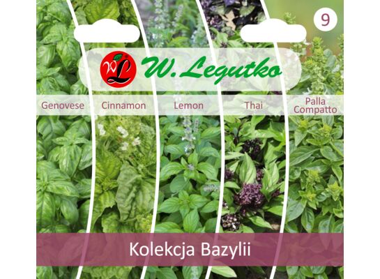 Kolekcja bazylii