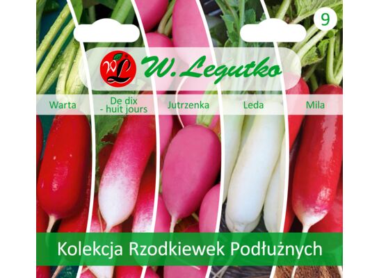 Kolekcja Rzodkiewek Podłużnych