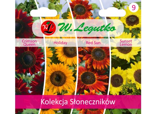 Kolekcja Słoneczników mix