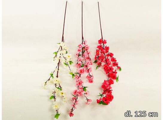 Jabłoń gałązka x 7