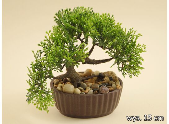 Bonsai w doniczce 15 cm