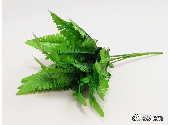 Paproć bukiet 7 sztuk