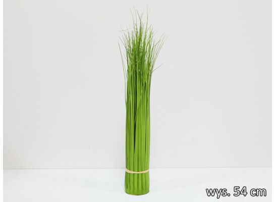 Trawa w wiązce 54 cm