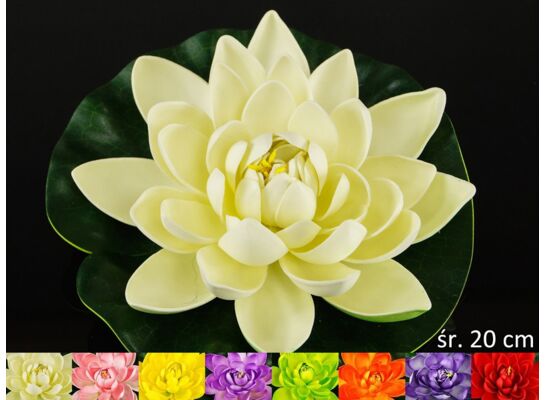 Lotos 20 cm