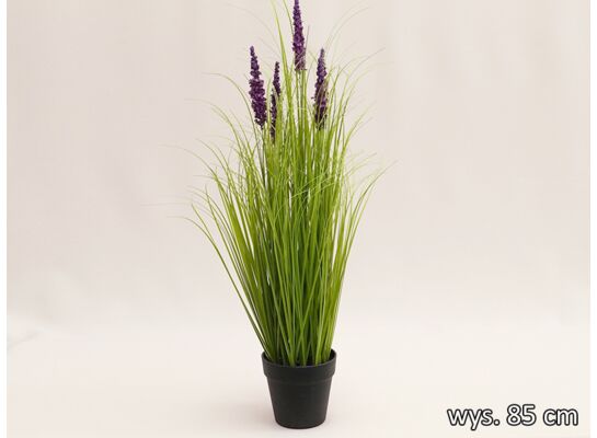 Trawa w doniczce 77 cm