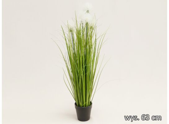 Trawa w doniczce 63 cm