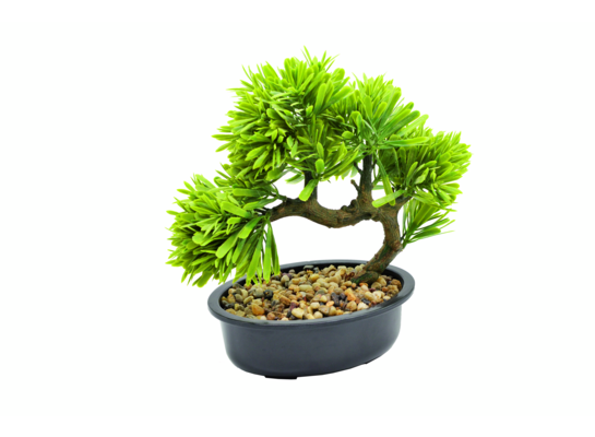 Bonsai w doniczce 23 cm