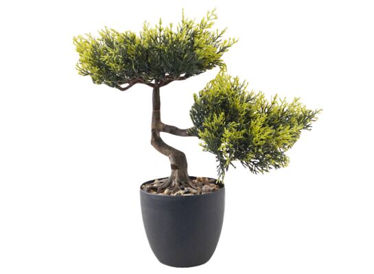 Bonsai w doniczce 30 cm