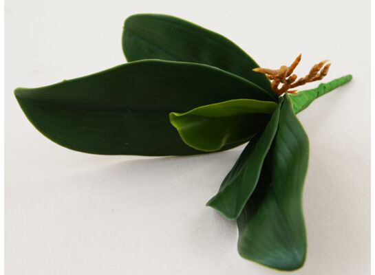 Liść storczyka gumowy 27 cm