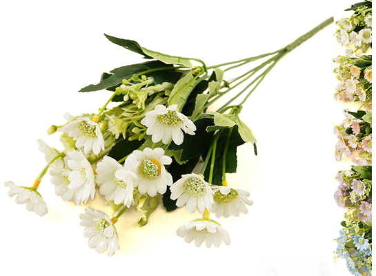 Stokrotka bukiet x 6