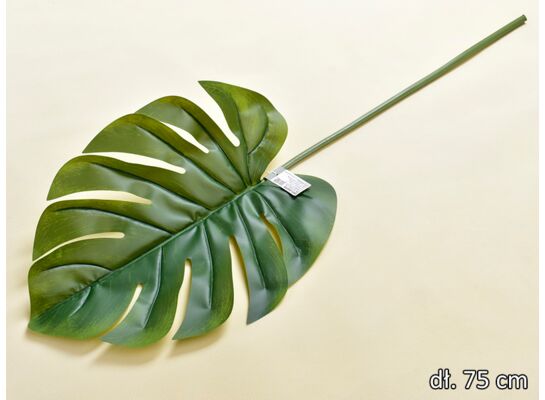 Liść monstery pojedynczy