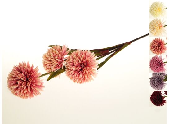 Czosnek gałązka x 3