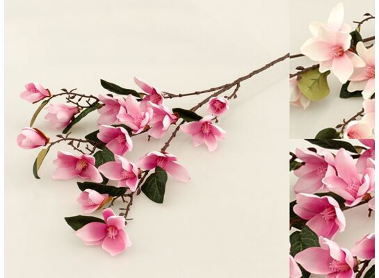 Magnolia gałązka 4 sztuki