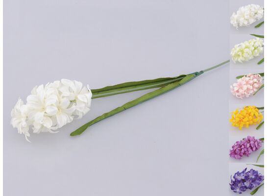Hiacynt pojedynczy 52 cm