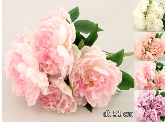 Peonia bukiet 7 sztuk