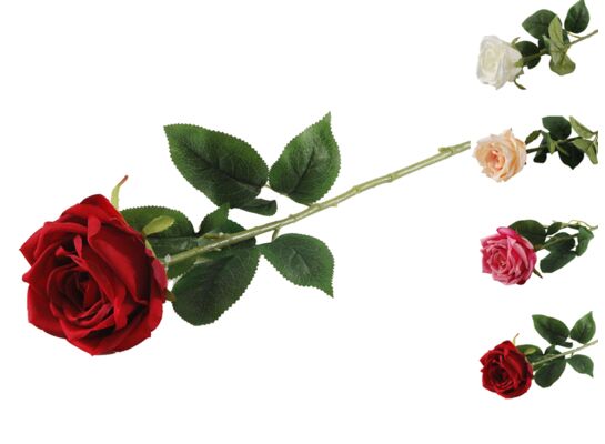 Róża pojedyncza 70 cm