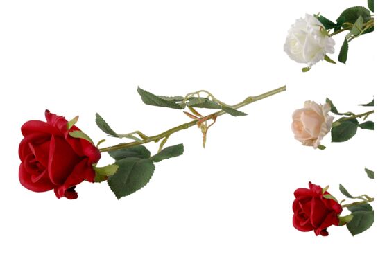 Róża pojedyncza  58 cm