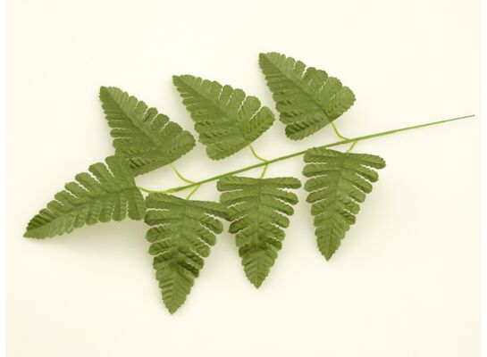Liść paproci 40 cm
