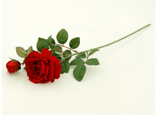 Róża gałązka x 2