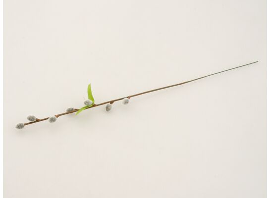 Bazia pojedyncza 40 cm szara