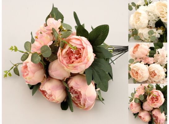 Peonia bukiet x 11