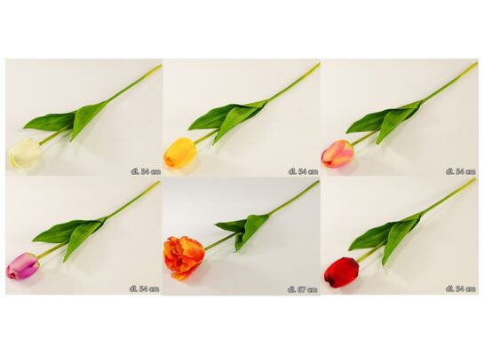Tulipan pojedynczy 54 cm