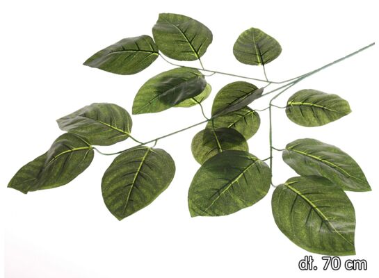 Liść bzu gałązka