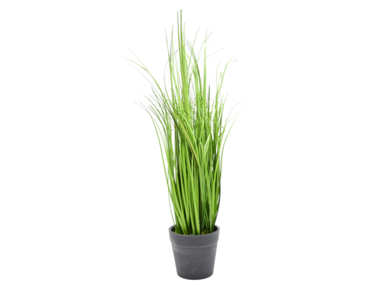 Trawa w doniczce 40 cm