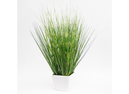 Trawa w doniczce 53 cm