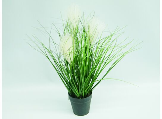 Trawa w doniczce 45 cm