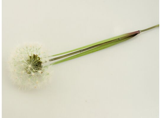 Dmuchawiec pojedynczy 100 cm