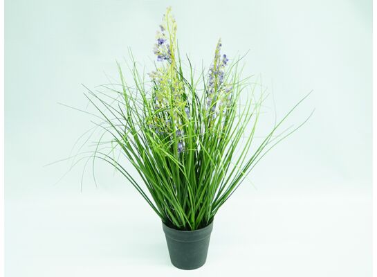 Trawa w doniczce 45 cm