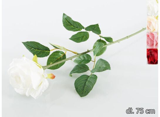 Róża pojedyncza 75 cm