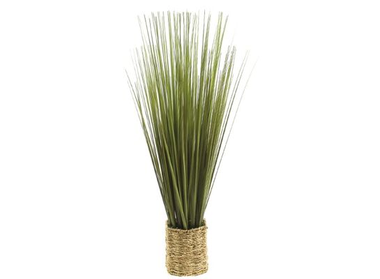 Trawa w doniczce 74 cm