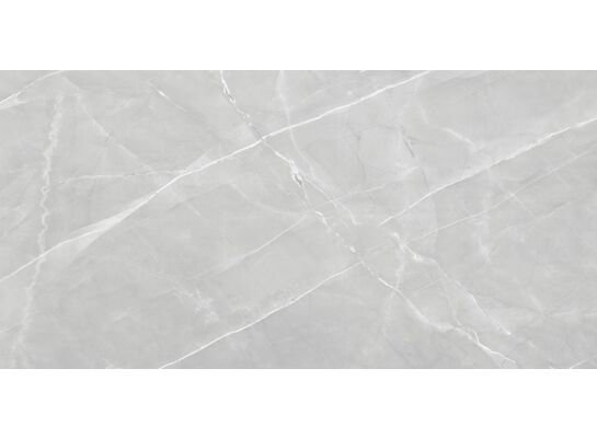 Gres szkliwiony Armani grey 60 x 120 cm Egen