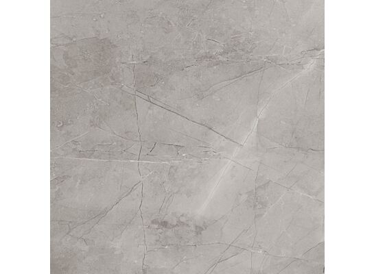 Gres szkliwiony Remos grey MAT 59,8 x 59,8 Gat.1