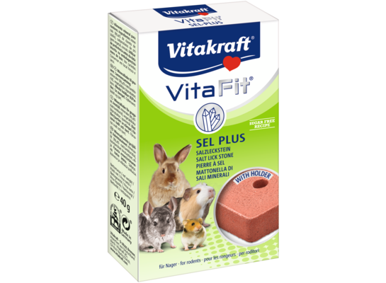 Sól dla gryzoni Vita Fit 40 g Vitakraft