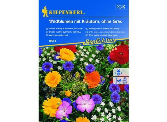 Kwiaty polne z ziołami, bez trawy Wildblumen mit Kräutern, ohne Gras