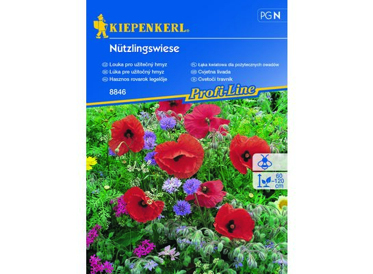 Łąka kwiatowa dla pożytecznych owadów Nützlingswiese