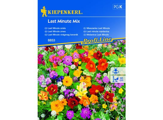 Mieszanka Last Minute Last Minute Mix