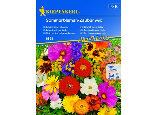 Czar letnich kwiatów Sommerblumen-Zauber Mix