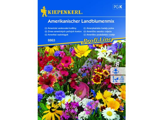 Amerykańskie kwiaty polne Amerikanischer Landblumenmix