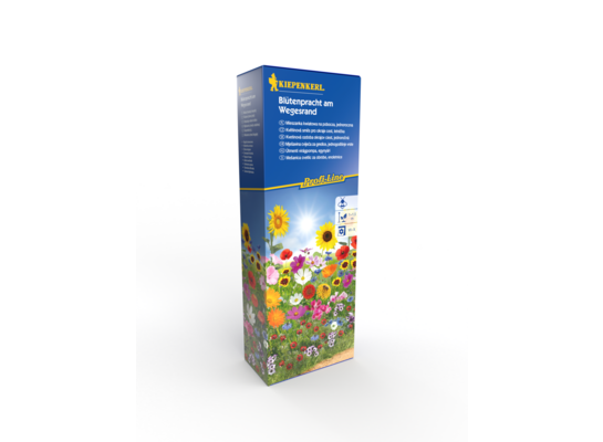 Mieszanka kwiatów na pobocza