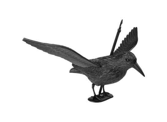 Kruk startujący odstraszacz ptaków