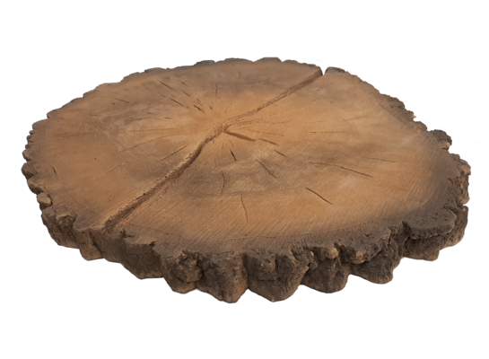 Płyta chodnikowa imitacja pnia z korą 38-42 x 3,5 cm