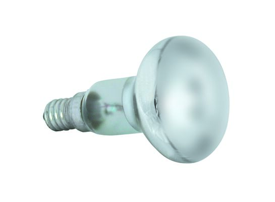 Żarówka reflektorowa R50 60 W FROSTED
