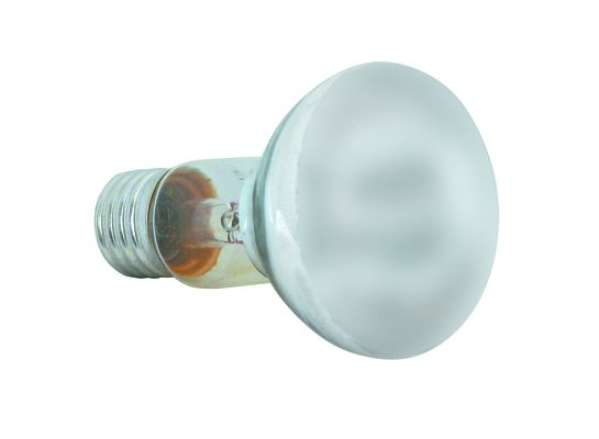 Żarówka reflektorowa R63 60W FROSTED
