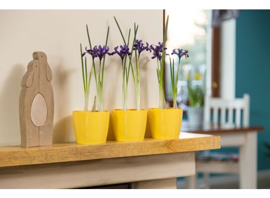 Osłonka-doniczka MAGNOLIA 18 żółty Lamela