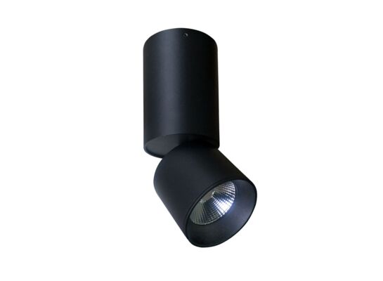 Oczko przegubowe natynkowe Nixa 10 W 800 lm czarny