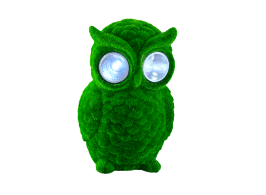 Lampka solarna SOWA zielona